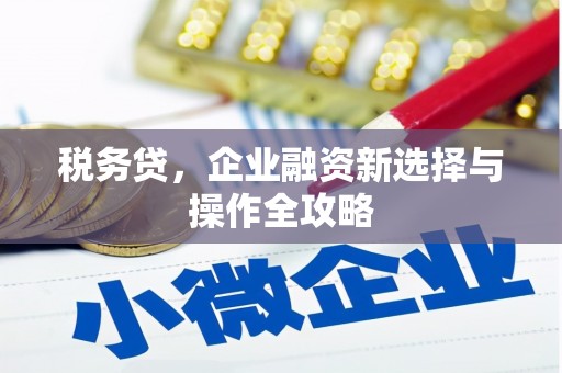 唐县税务贷，企业融资新选择与操作全攻略