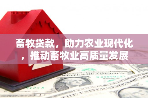 观音畜牧贷款，助力农业现代化，推动畜牧业高质量发展