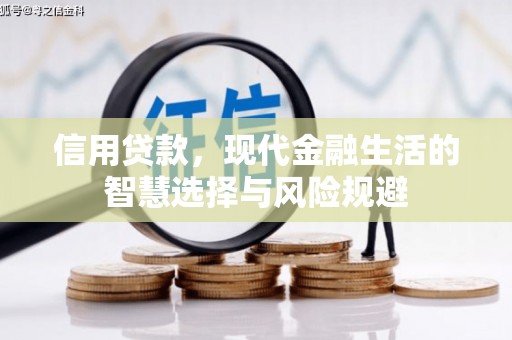迪庆信用贷款，现代金融生活的智慧选择与风险规避