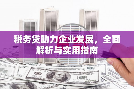 东明税务贷助力企业发展，全面解析与实用指南