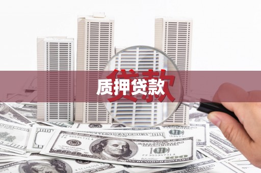 扶绥质押贷款