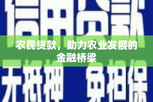 崖州农民贷款，助力农业发展的金融桥梁