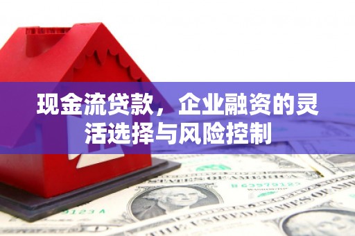 泌阳现金流贷款，企业融资的灵活选择与风险控制