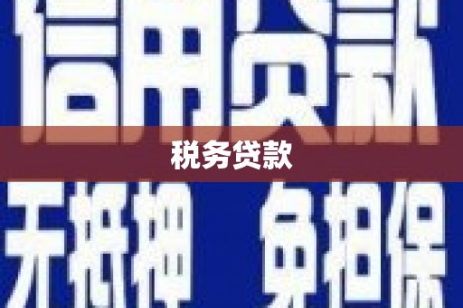 下城税务贷款