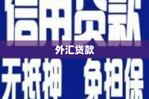 明溪外汇贷款