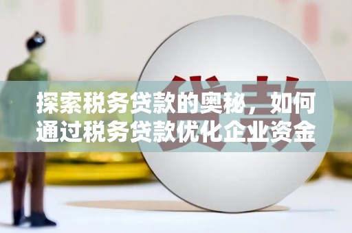 丹巴探索税务贷款的奥秘，如何通过税务贷款优化企业资金流
