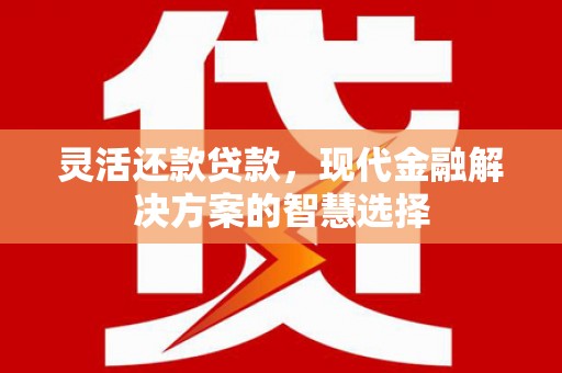 乾安灵活还款贷款，现代金融解决方案的智慧选择