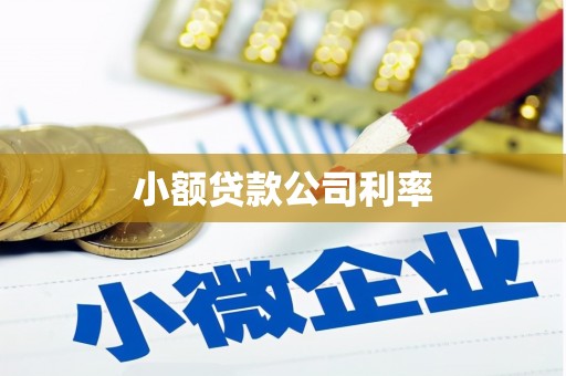 元长小额贷款公司利率