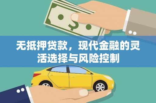 嘉禾无抵押贷款，现代金融的灵活选择与风险控制