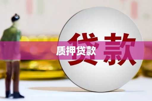 安仁质押贷款
