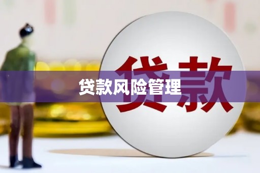 桃江贷款风险管理