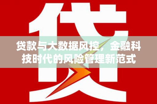阜宁贷款与大数据风控，金融科技时代的风险管理新范式