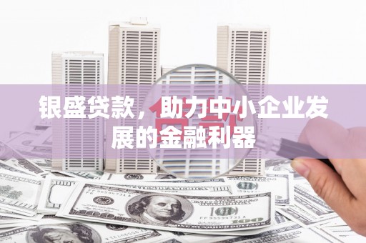 杭锦旗银盛贷款，助力中小企业发展的金融利器