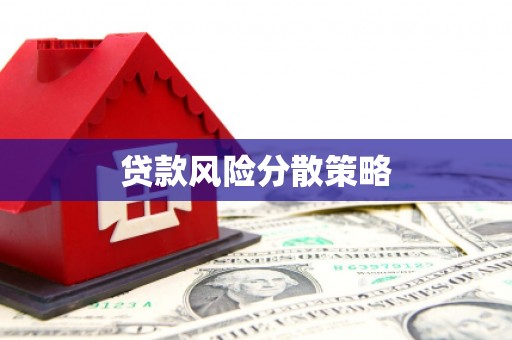 武胜贷款风险分散策略