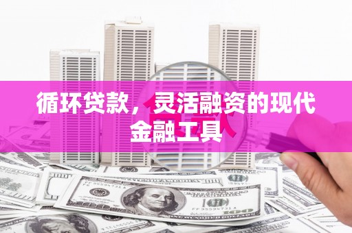 西岗循环贷款，灵活融资的现代金融工具
