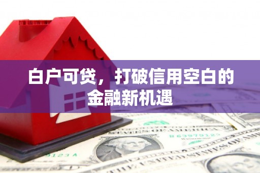 太仆寺旗白户可贷，打破信用空白的金融新机遇