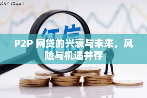 湖北P2P 网贷的兴衰与未来，风险与机遇并存