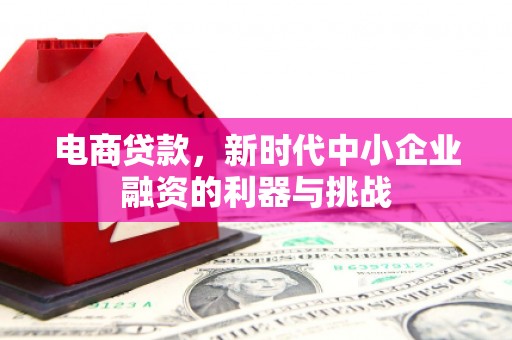 双牌电商贷款，新时代中小企业融资的利器与挑战