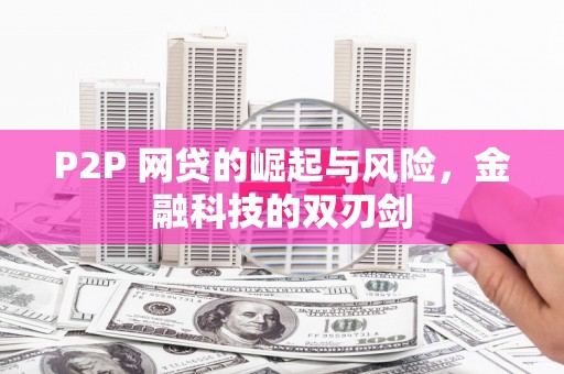板桥P2P 网贷的崛起与风险，金融科技的双刃剑