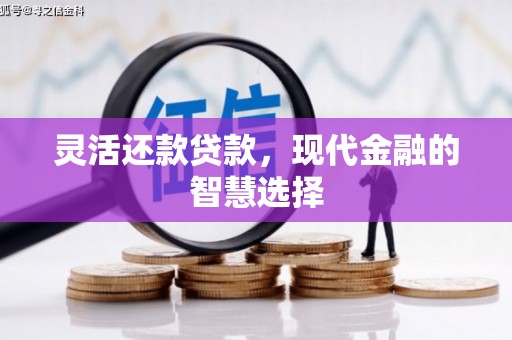 宣汉灵活还款贷款，现代金融的智慧选择