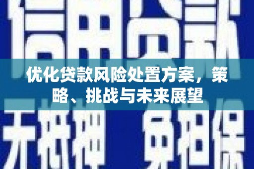 吉州优化贷款风险处置方案，策略、挑战与未来展望