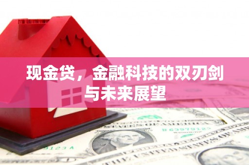 大余现金贷，金融科技的双刃剑与未来展望