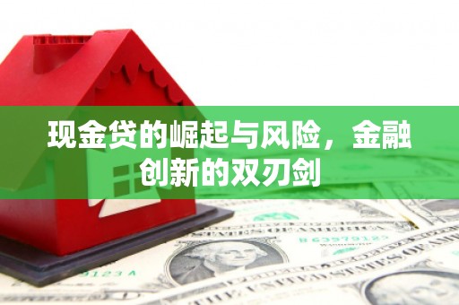 万丹现金贷的崛起与风险，金融创新的双刃剑