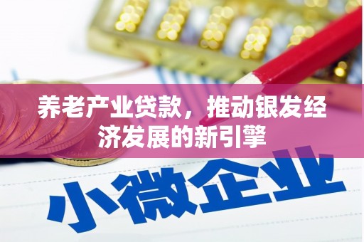 薛城养老产业贷款，推动银发经济发展的新引擎