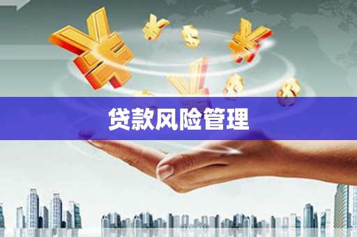 巴青贷款风险管理