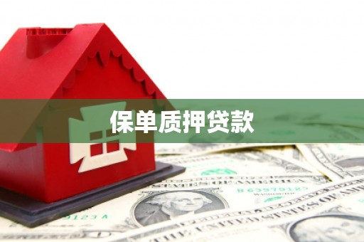 白沙保单质押贷款