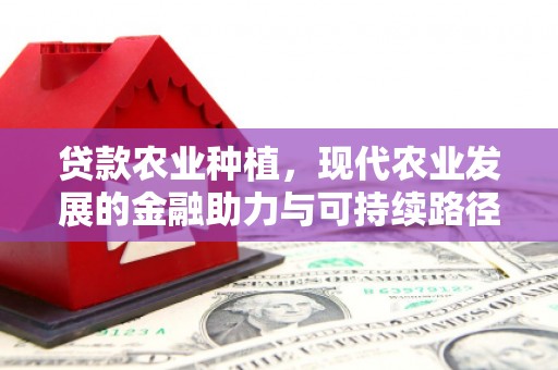 江川贷款农业种植，现代农业发展的金融助力与可持续路径