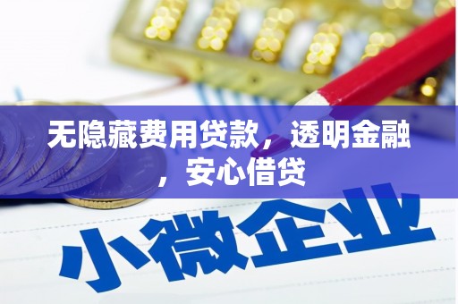 商南无隐藏费用贷款，透明金融，安心借贷