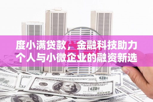 中西度小满贷款，金融科技助力个人与小微企业的融资新选择