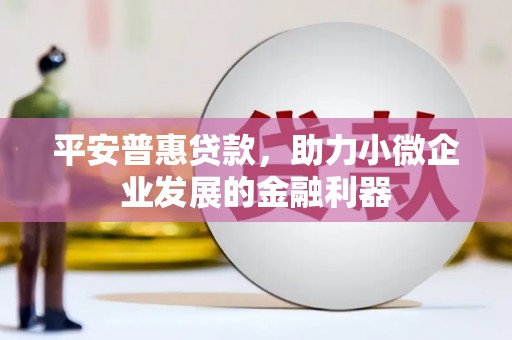 循化平安普惠贷款，助力小微企业发展的金融利器