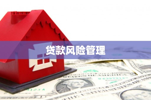 浦东贷款风险管理