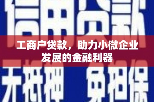 南充工商户贷款，助力小微企业发展的金融利器