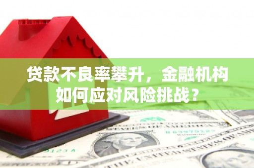 芦淞贷款不良率攀升，金融机构如何应对风险挑战？