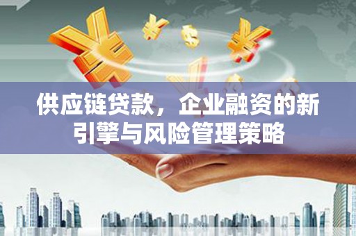 芦洲供应链贷款，企业融资的新引擎与风险管理策略
