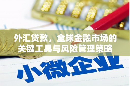博乐外汇贷款，全球金融市场的关键工具与风险管理策略
