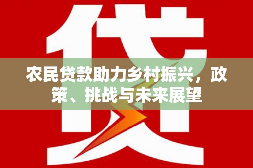 涵江农民贷款助力乡村振兴，政策、挑战与未来展望