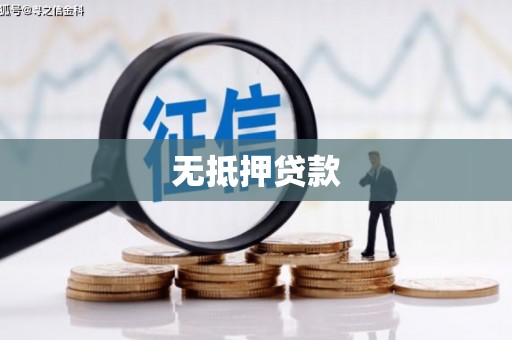 应县无抵押贷款