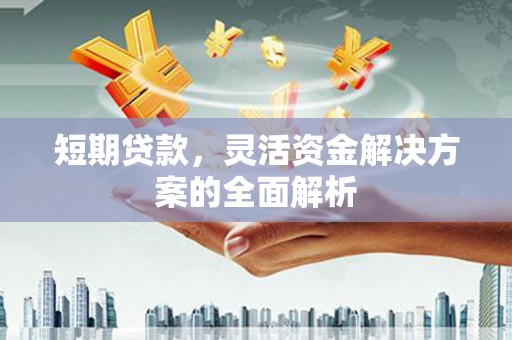 顺平短期贷款，灵活资金解决方案的全面解析