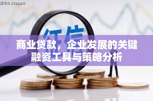 循化商业贷款，企业发展的关键融资工具与策略分析