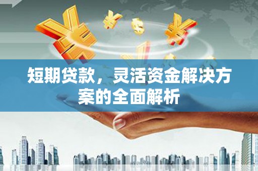 洪湖短期贷款，灵活资金解决方案的全面解析