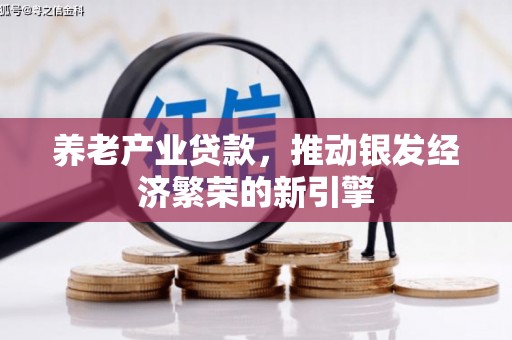 宁化养老产业贷款，推动银发经济繁荣的新引擎