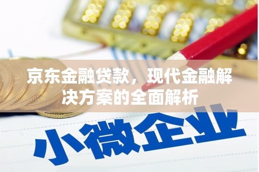 响水京东金融贷款，现代金融解决方案的全面解析