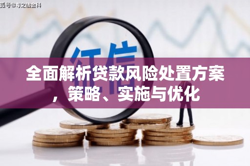 中原全面解析贷款风险处置方案，策略、实施与优化