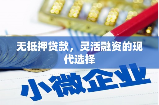 丽江无抵押贷款，灵活融资的现代选择