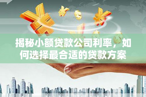 聂拉木揭秘小额贷款公司利率，如何选择最合适的贷款方案