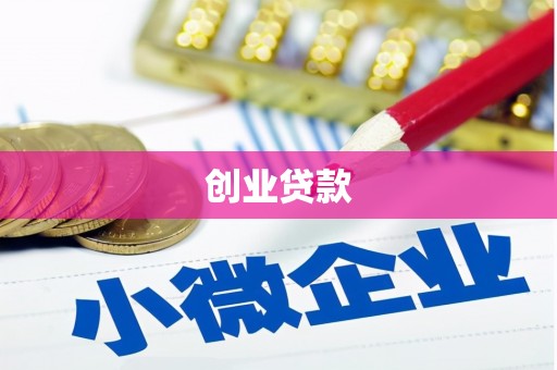 新平创业贷款